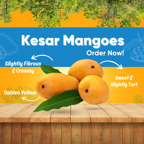 Kesar Mangoes