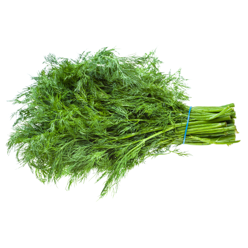 Dill (Bunch)