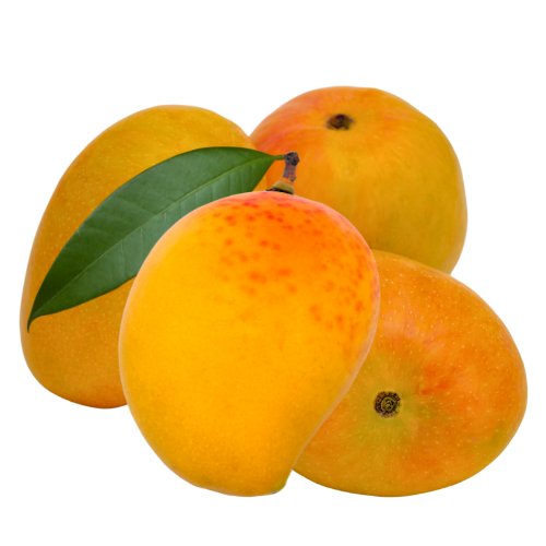 Alphonso & Kesar Mango Box