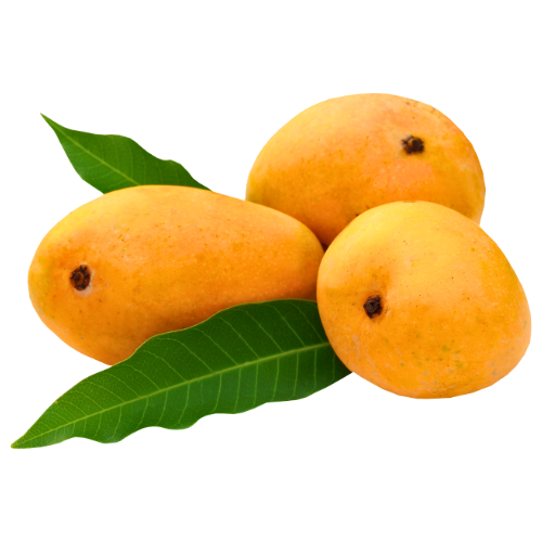 Alphonso & Kesar Mango Box