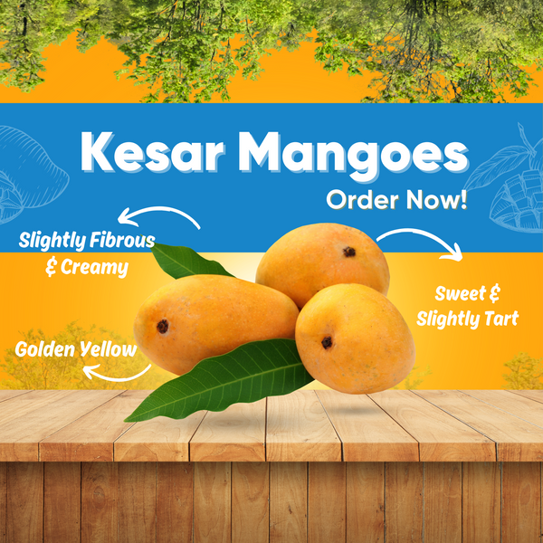 Kesar Mango (10-12)pcs