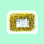 Bean Sprouts