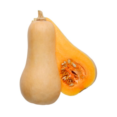 Butternut Squash 1Pc