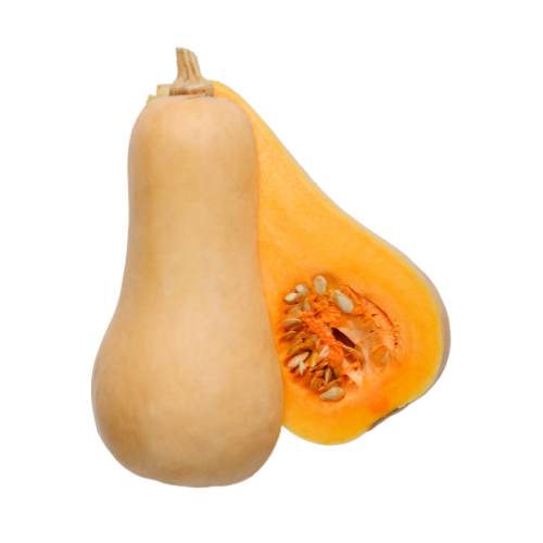Butternut Squash 1pc