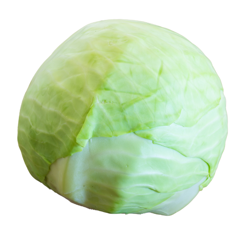 Cabbage 1Pc