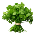 1 Bunch