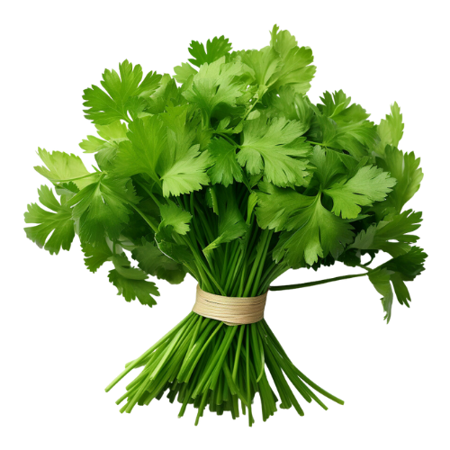 Coriander (Bunch)