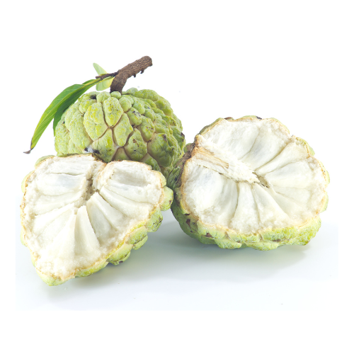 Custard Apple 1Pc