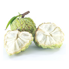 Custard Apple 1pc