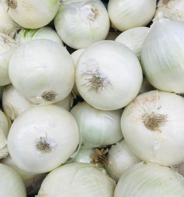 English White Onion 500g
