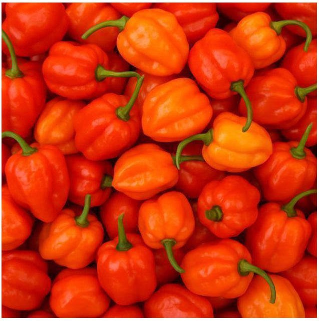 Hot Pepper 200g