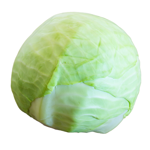 Green Cabbage (800g-1kg)