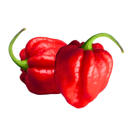 Hot Pepper 200g