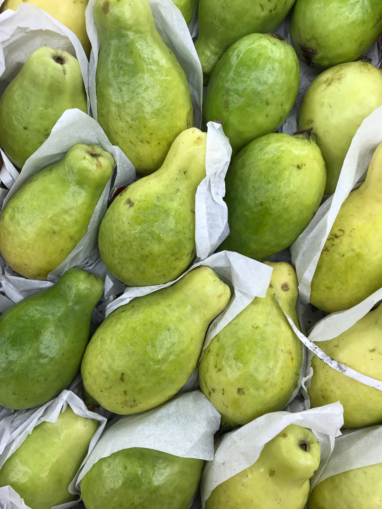 Egyptian Guava (500g)