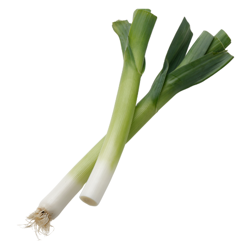 Leek 1Pc