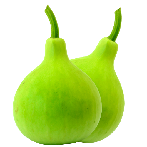 Round Dudhi 1kg