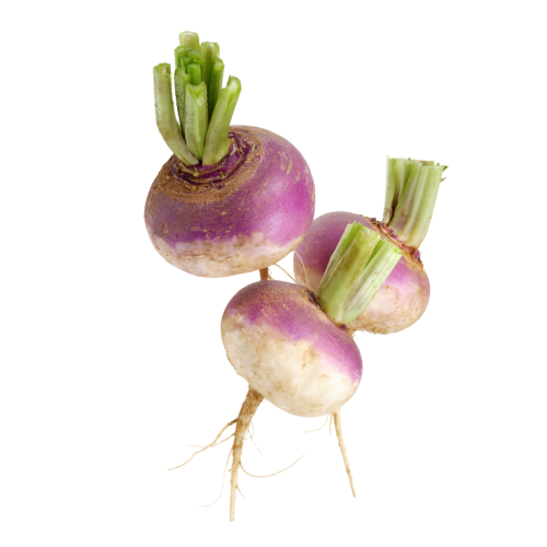 Turnip 250g