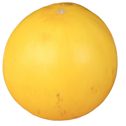 Yellow Melon 1pc
