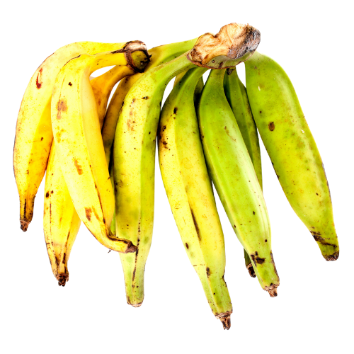 Yellow Plantain 1pc
