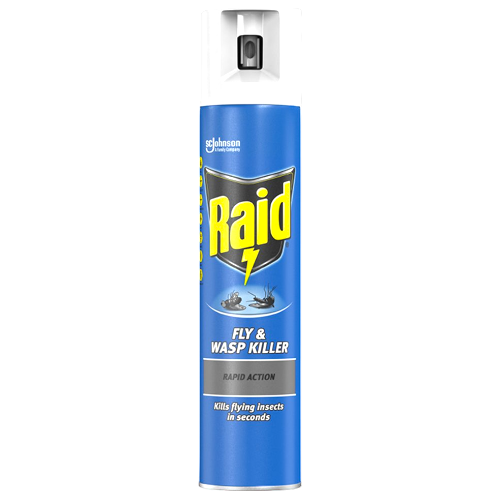 Raid Fly And Wasp Killer 300ml